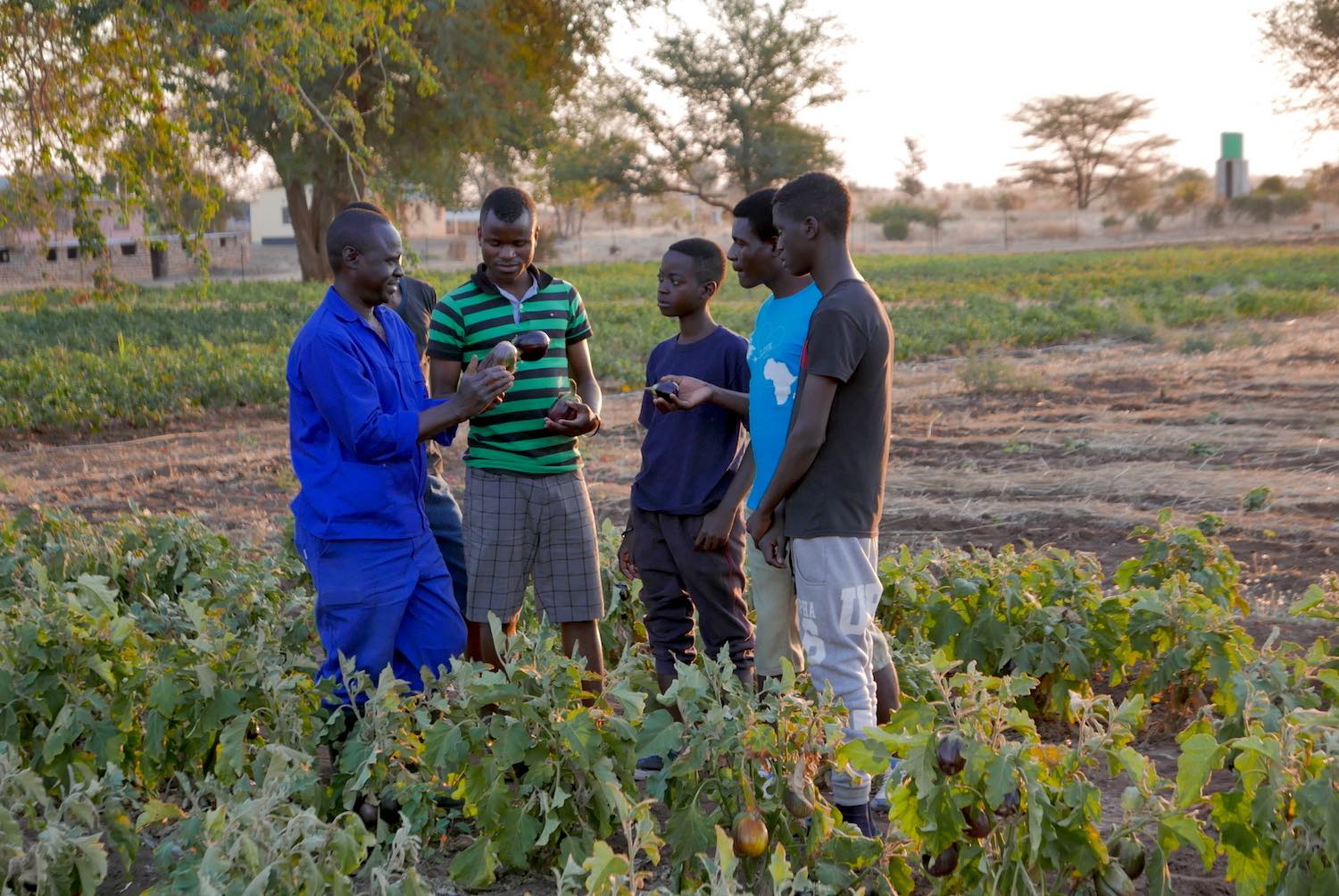 The Ebenezer Foundation Community Farm